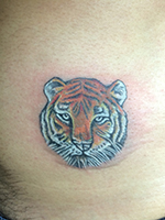 Tiger Wild Animal Tattoo