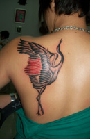 Butterfly, Bird, Eagle Tattoo