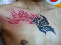 Butterfly, Bird, Eagle Tattoo