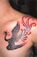 Butterfly, Bird, Eagle Tattoo