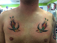 Butterfly, Bird, Eagle Tattoo