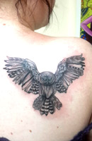 Butterfly, Bird, Eagle Tattoo