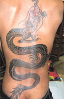 Dragon Tattoo