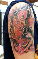 Koi & Fish Tattoo