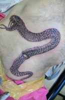 Scorpion, Snake, Lizard, Insect Tattoo