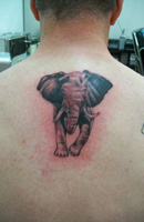 Wild Animals Tattoo