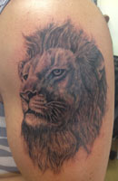 Wild Animals Tattoo