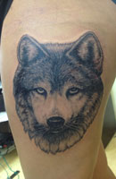 Wild Animals Tattoo