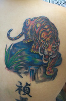 Wild Animals Tattoo