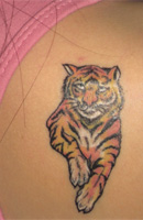 Wild Animals Tattoo